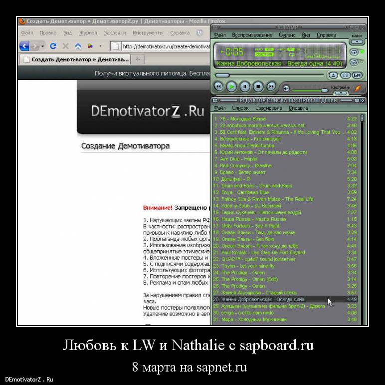 sapnet004.jpg